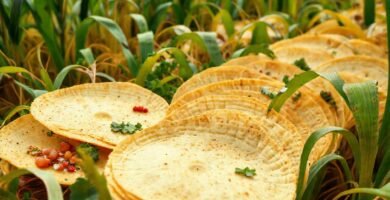 Campos mexicanos ofrecen tortillas artesanales y naturales