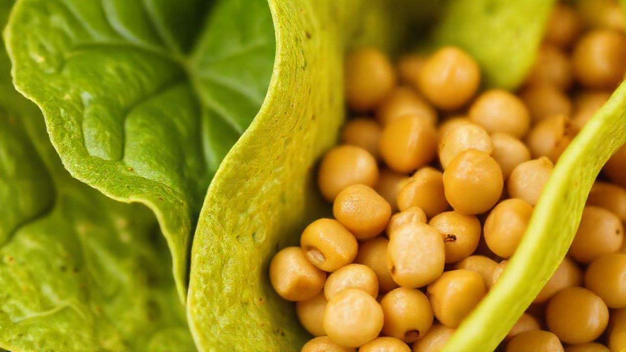 Guisantes maduros, tortillas verdes y frescos